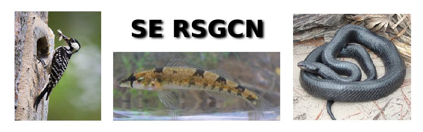 Southeast Regional 
        Animals of Greatest Conservation Need Banner