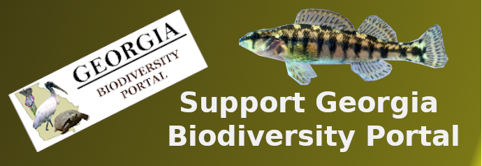 Help Support Georgia's Biodiversity Data Portal