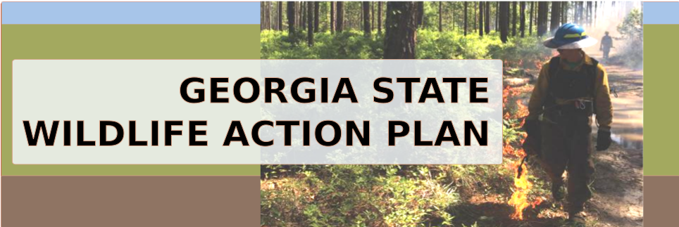 Georgia's Current Wildlife Action Plan - SWAP - Logo